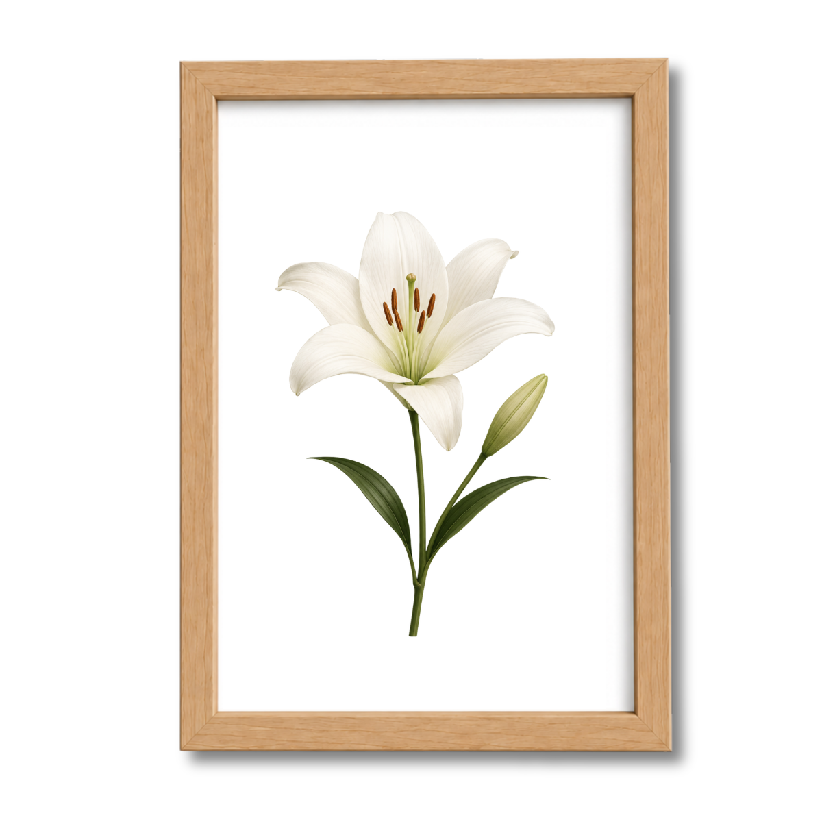 Flores N°10