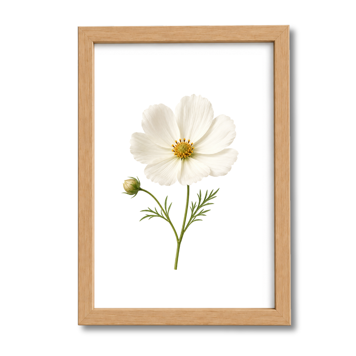 Flores N°12