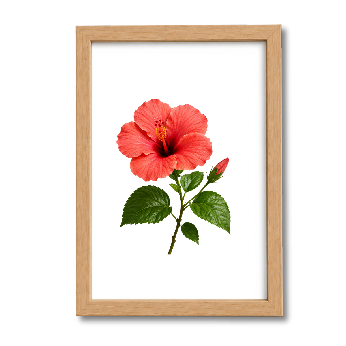 Flores N°13