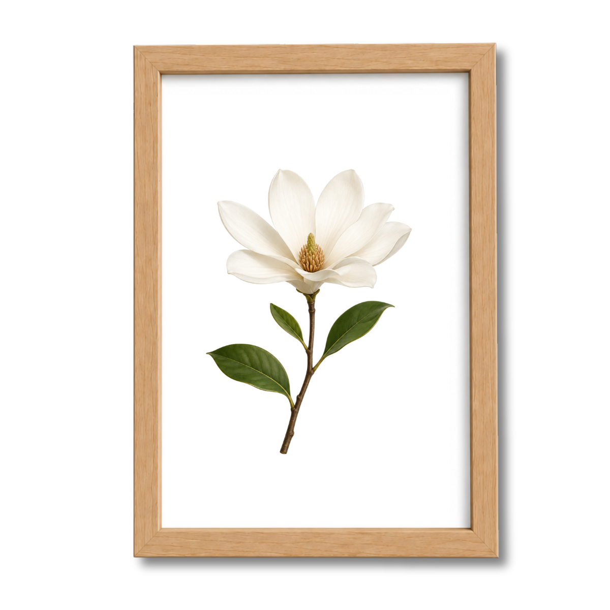 Flores N°14