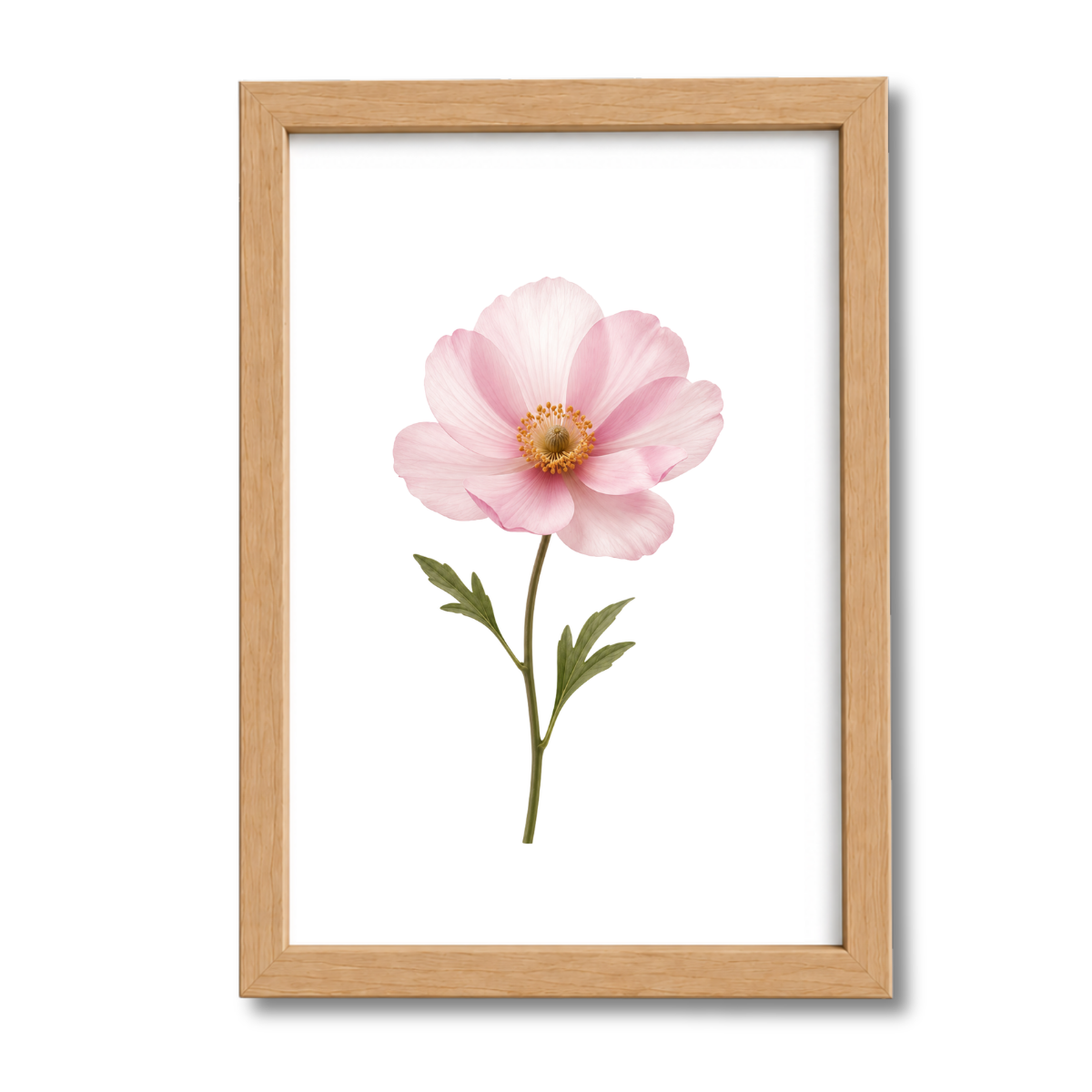 Flores N°18