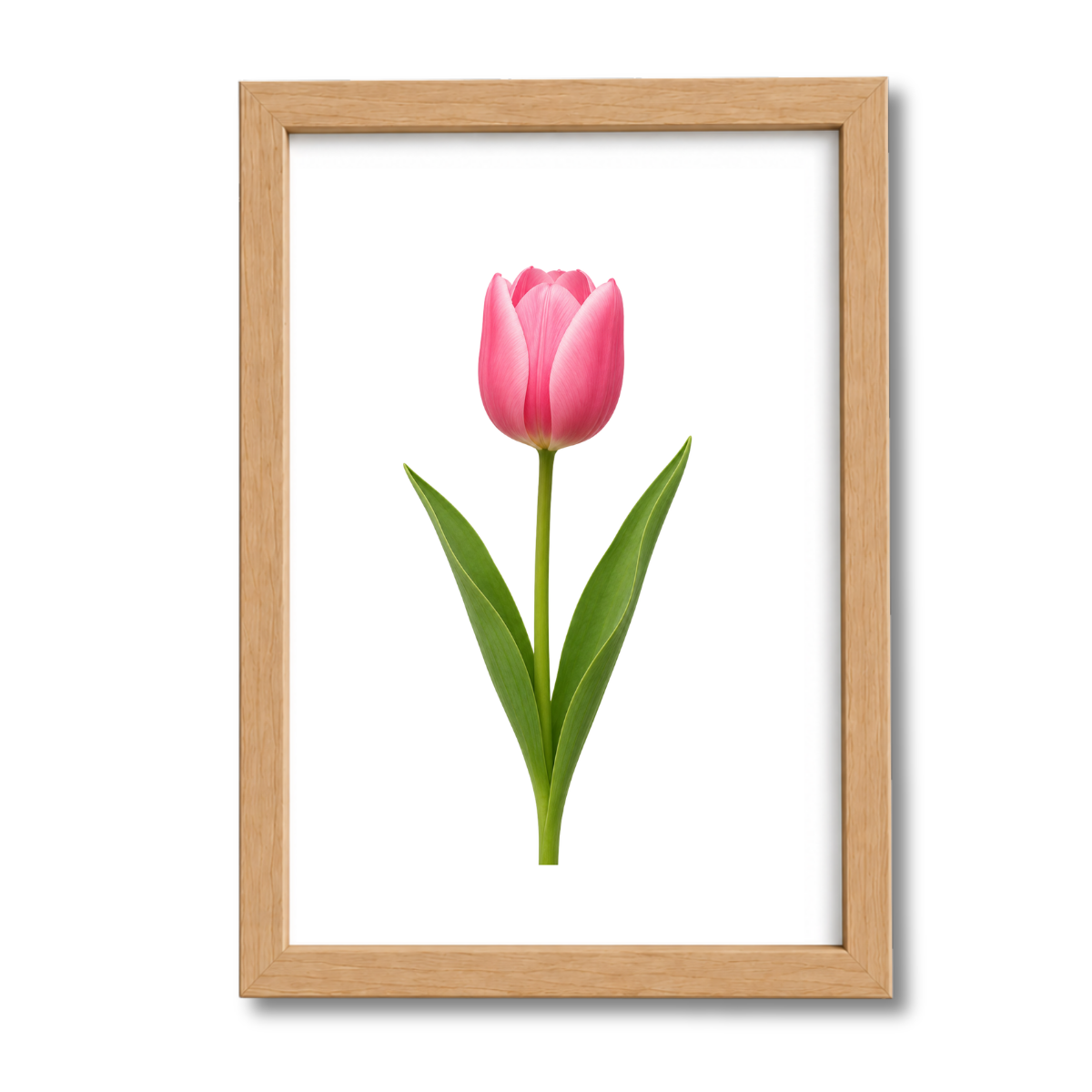 Flores N°19