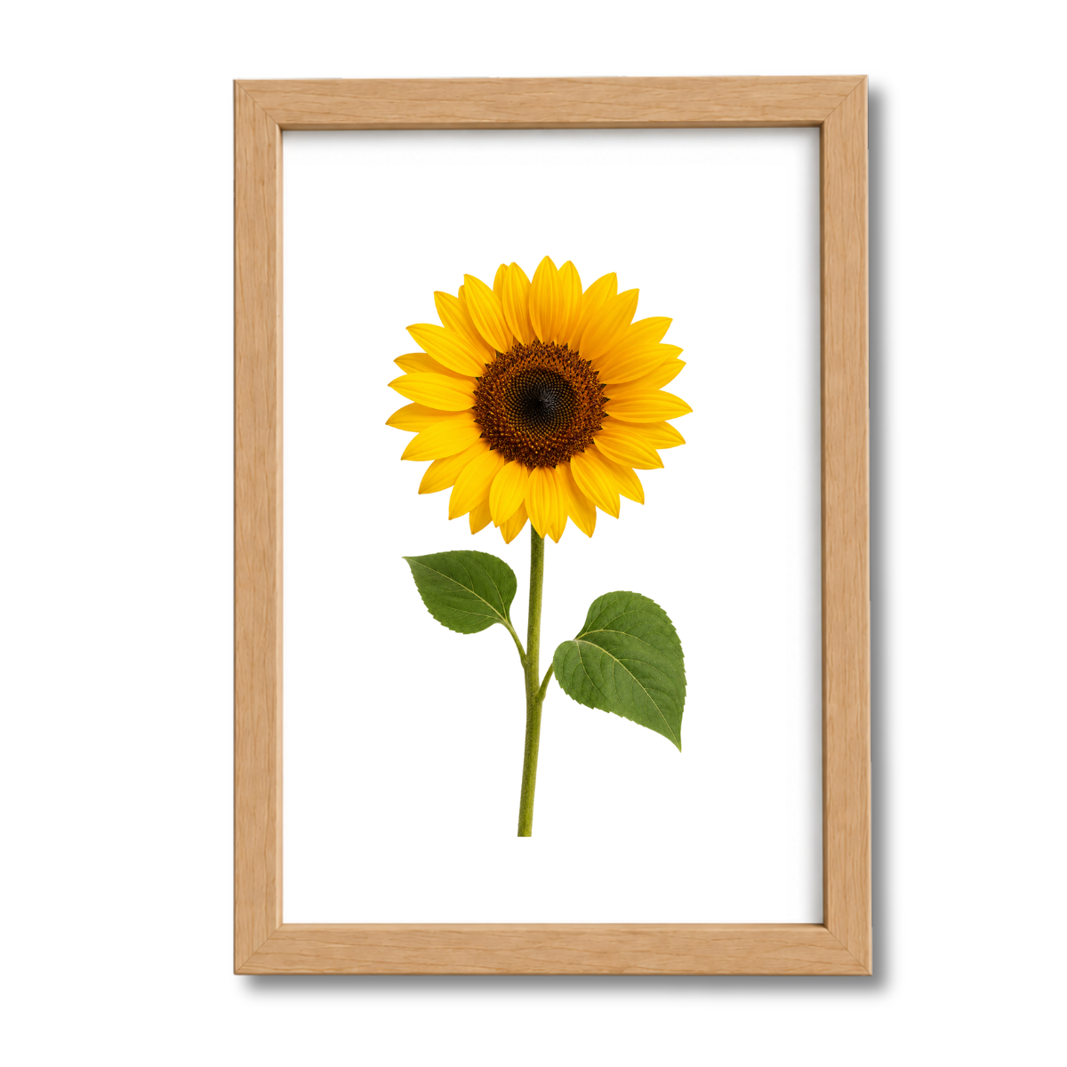 Flores N°21