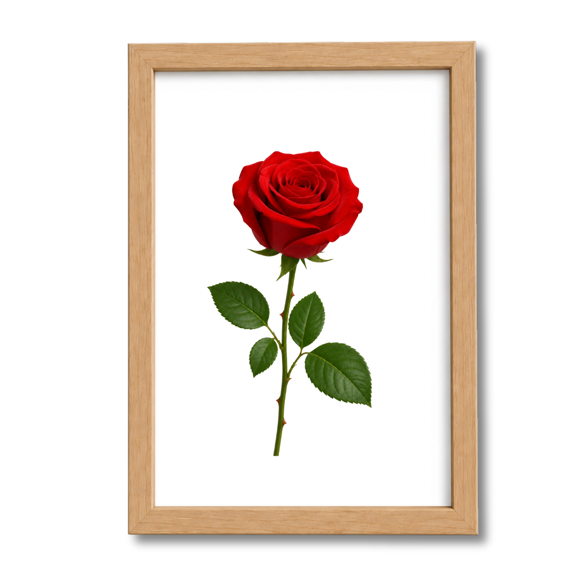 Flores N°22