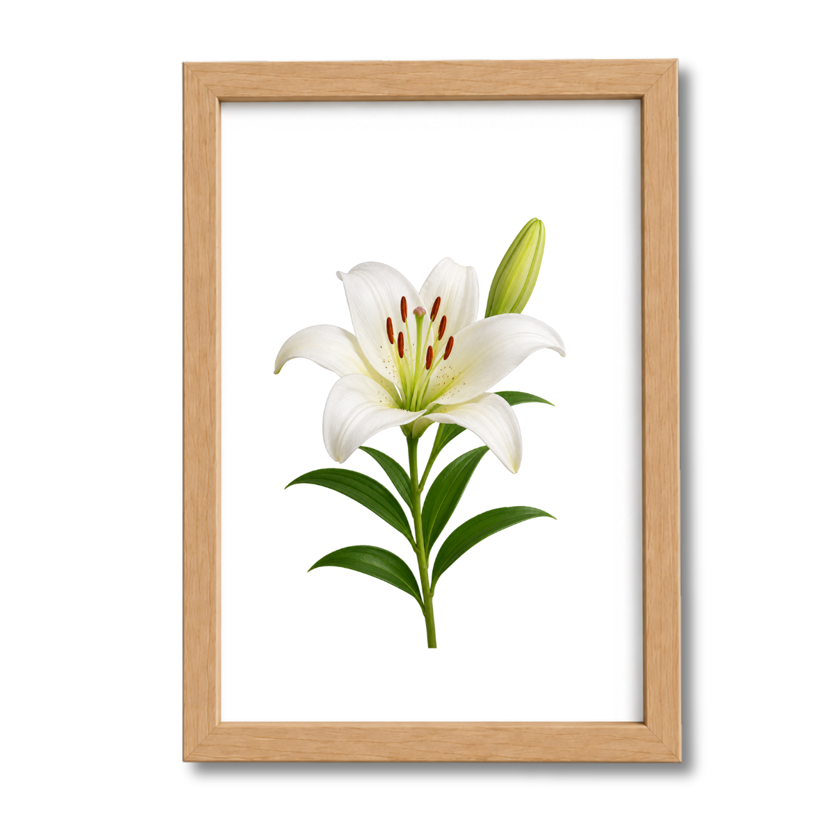 Flores N°23