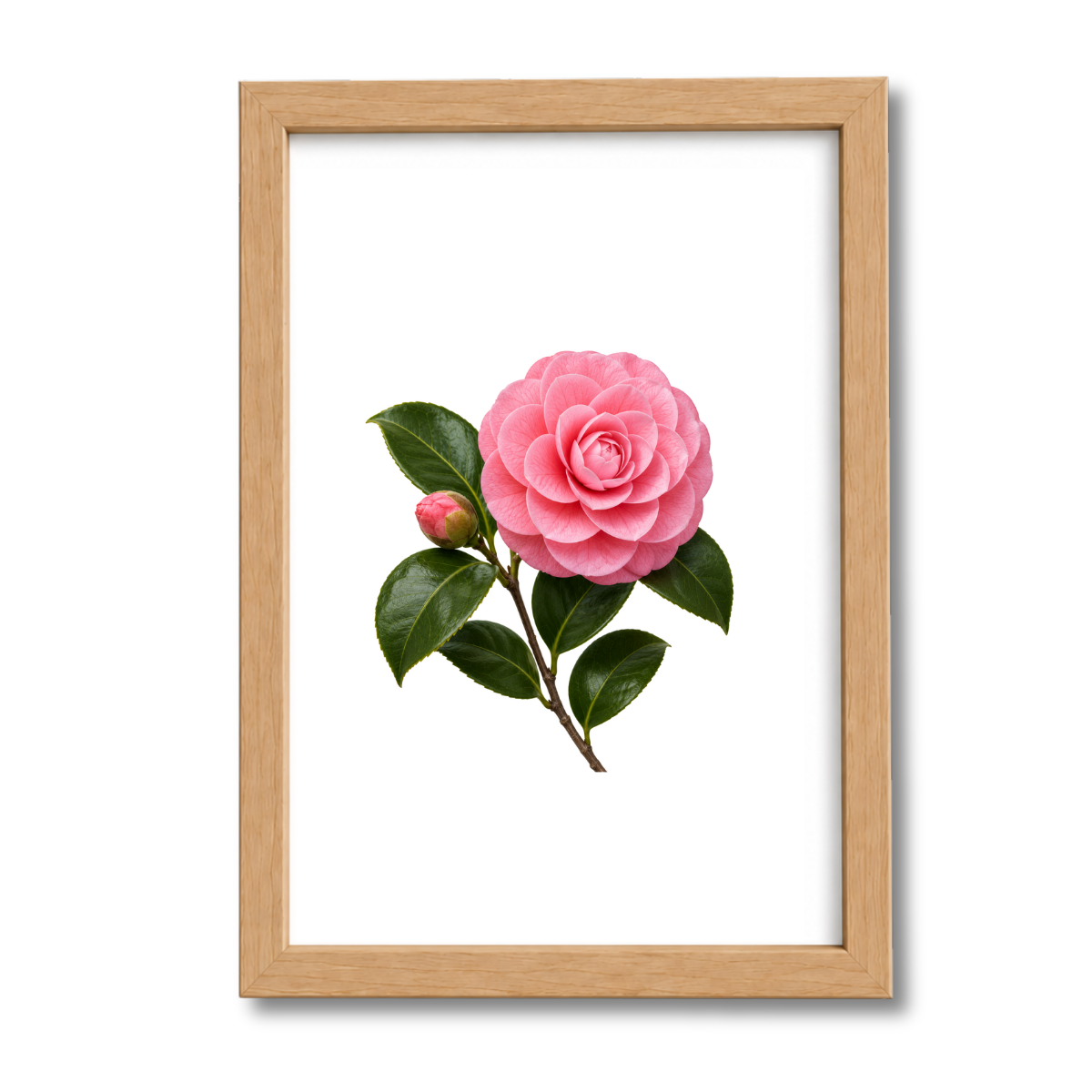 Flores N°24