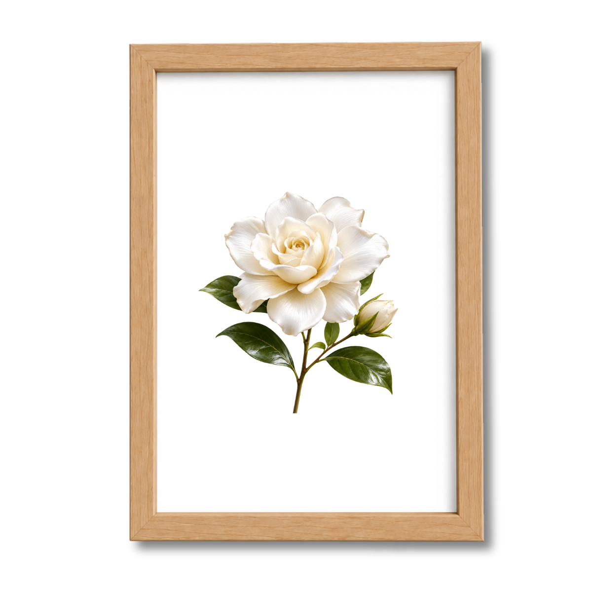 Flores N°25