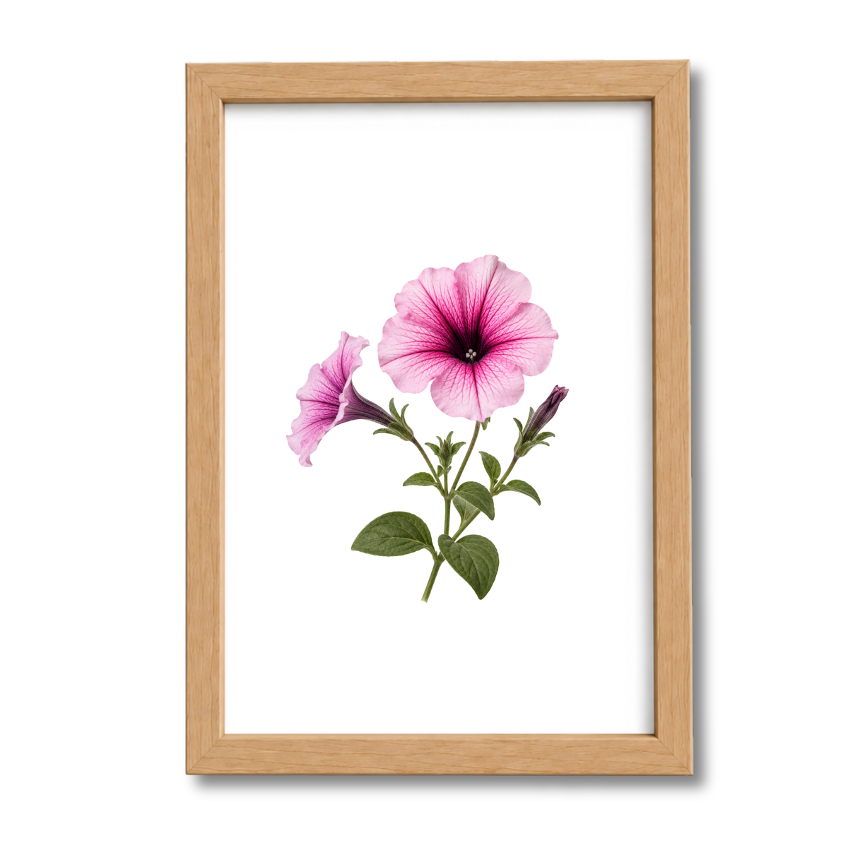 Flores N°27