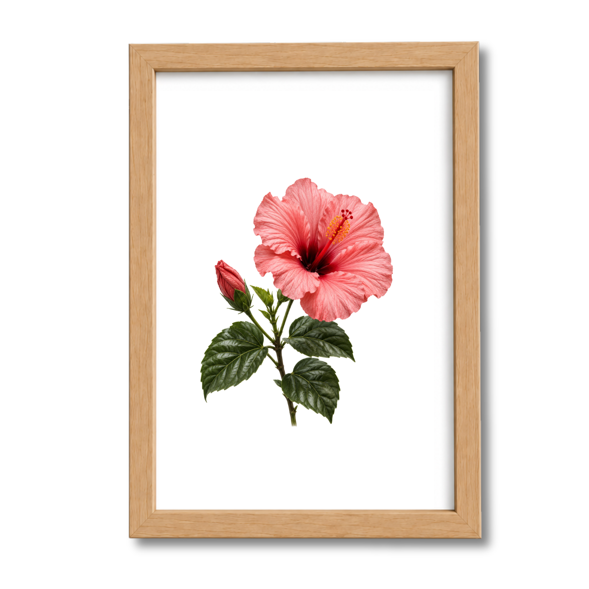 Flores N°28
