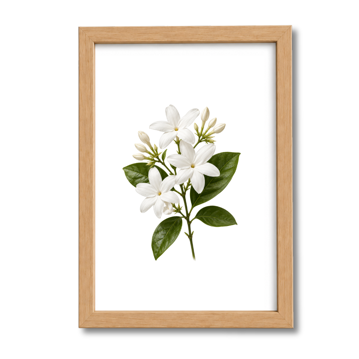 Flores N°29