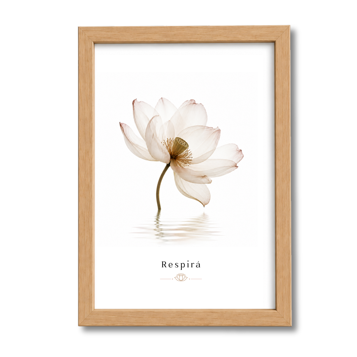 Flores N°3