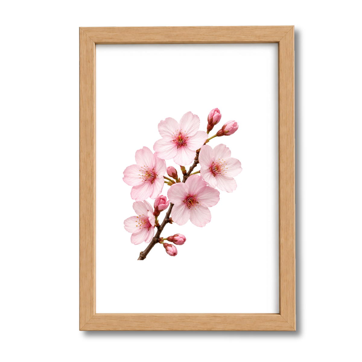 Flores N°31