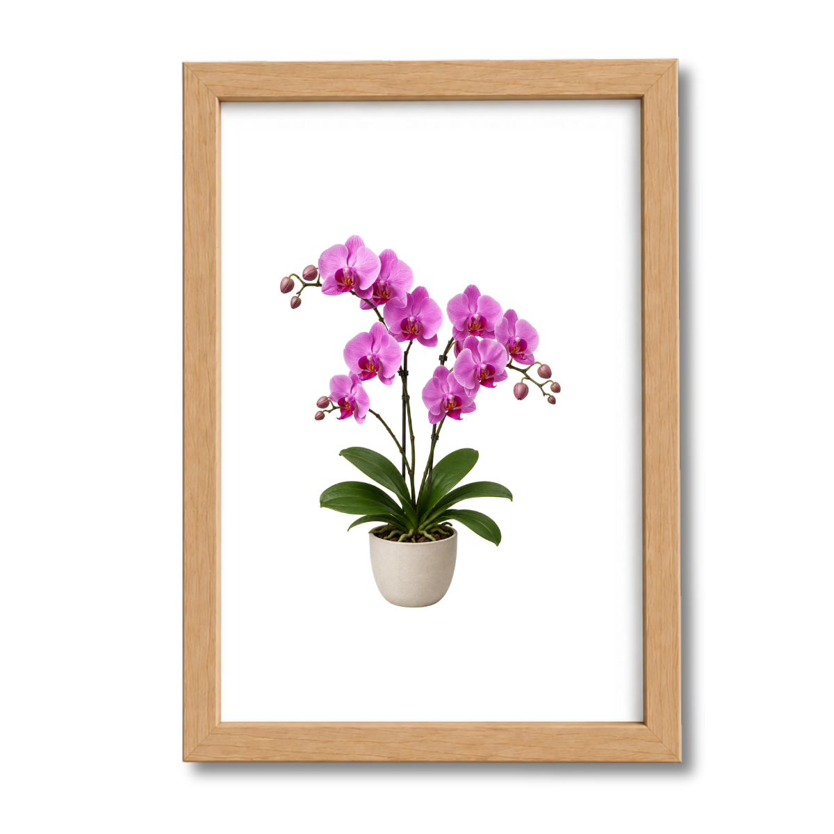 Flores N°32