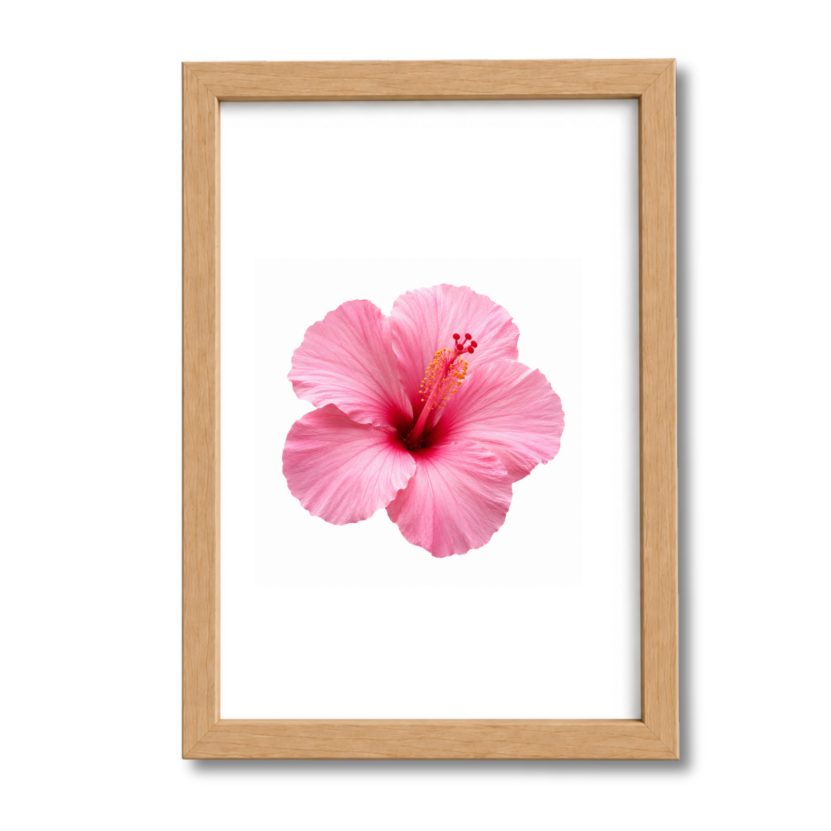 Flores N°33