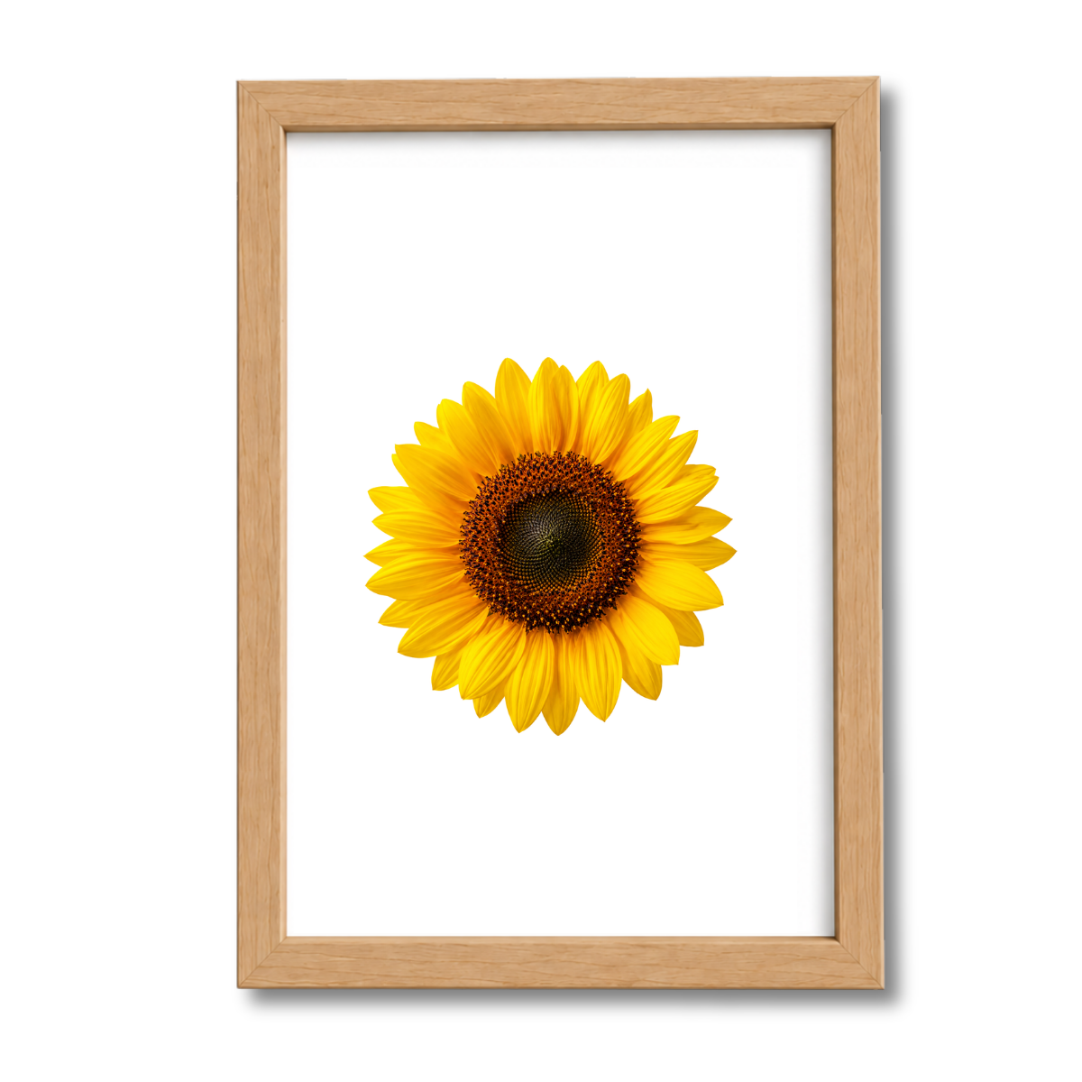 Flores N°34