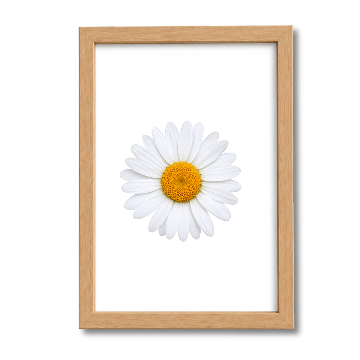 Flores N°35