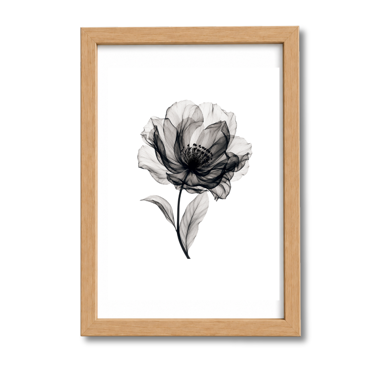 Flores N°37