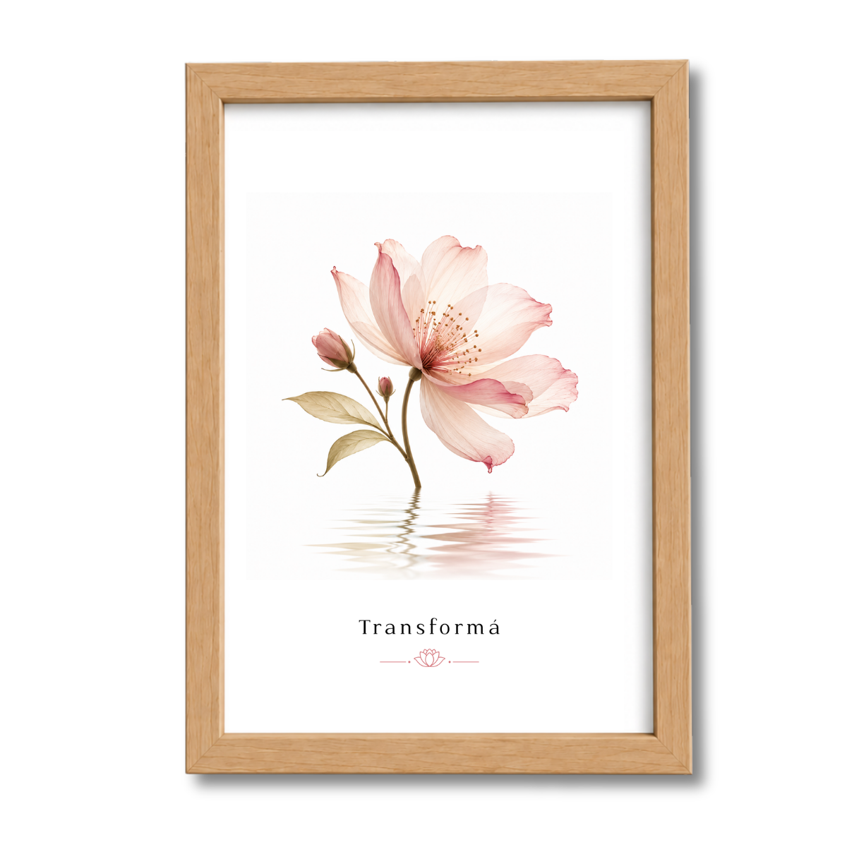 Flores N°4