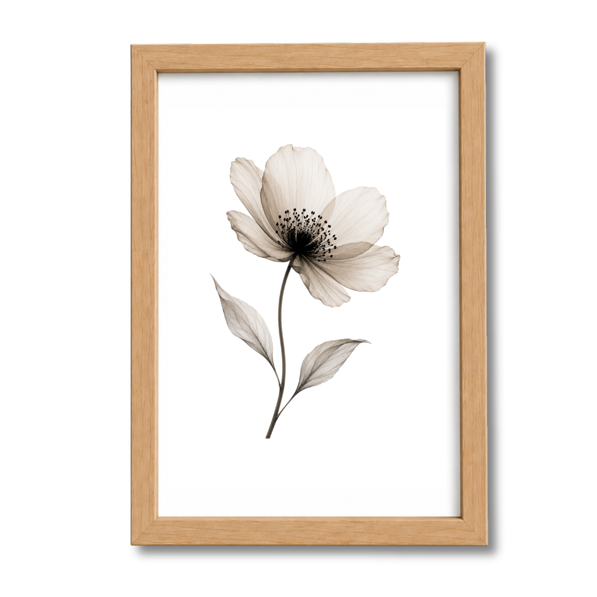 Flores N°40