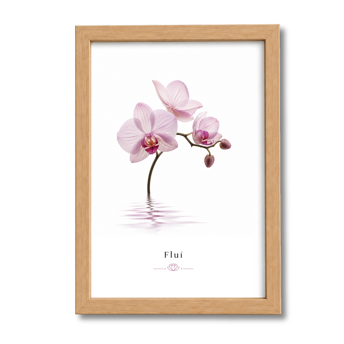 Flores N°5