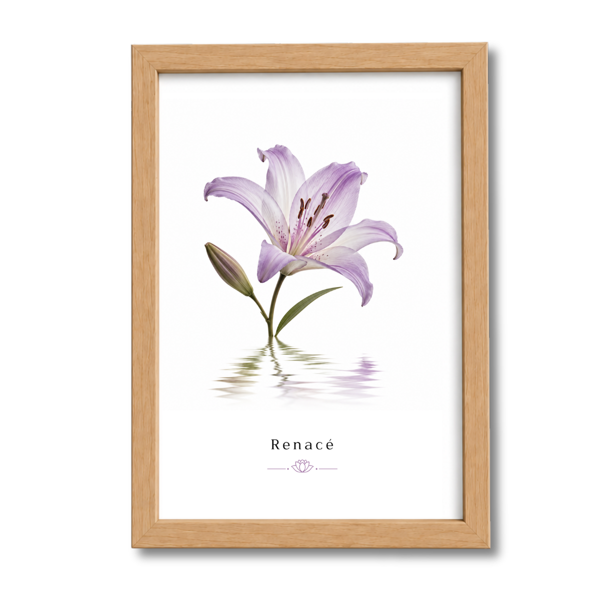 Flores N°6
