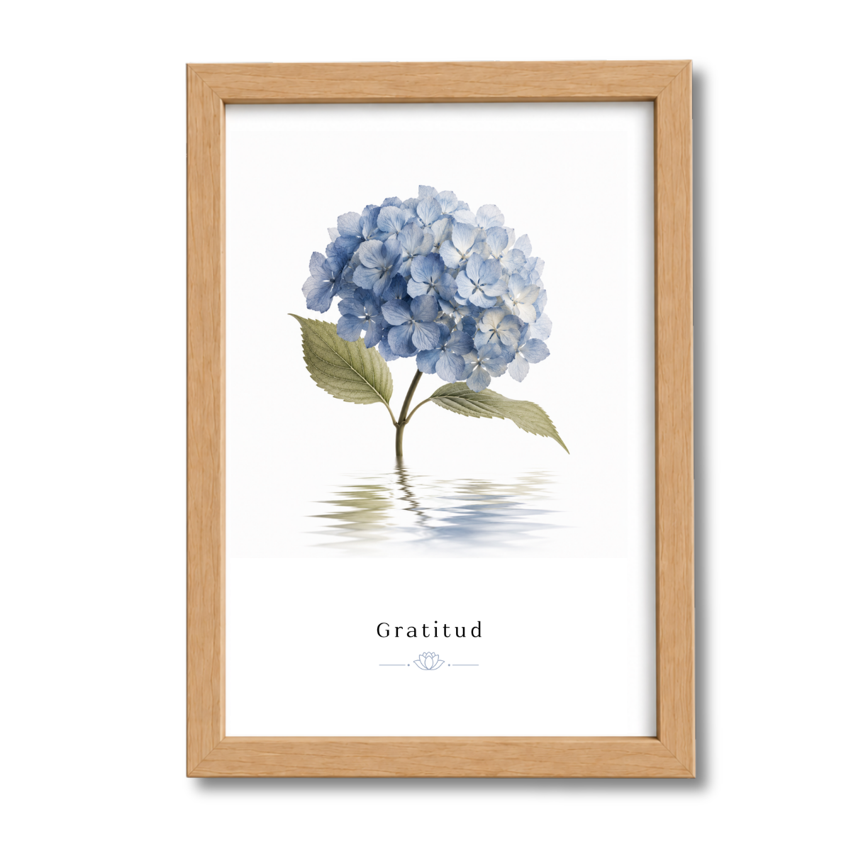 Flores N°7