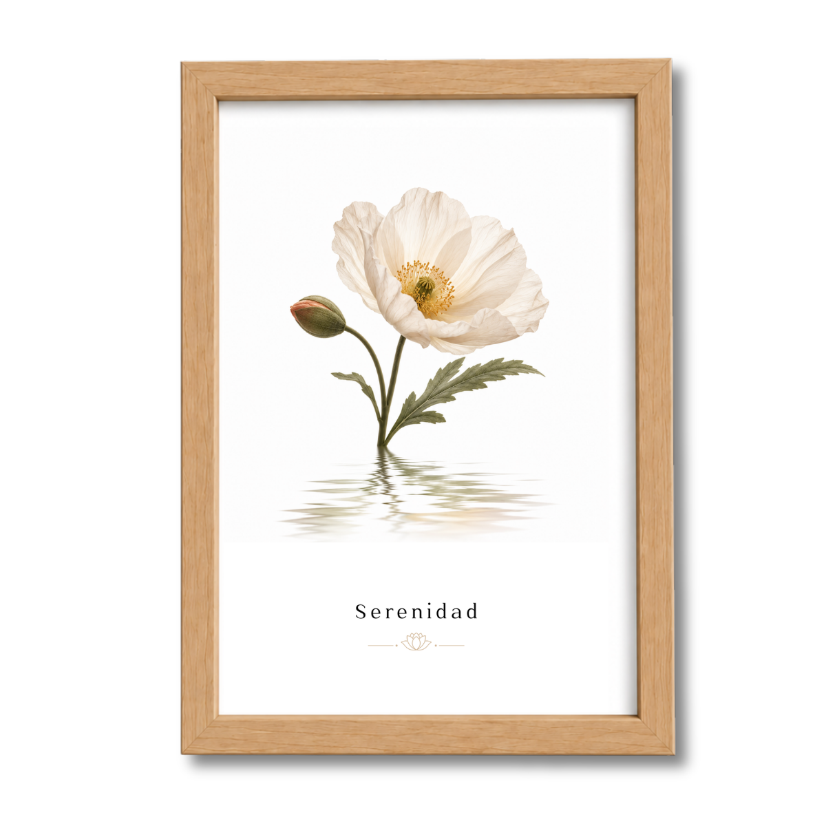 Flores N°8