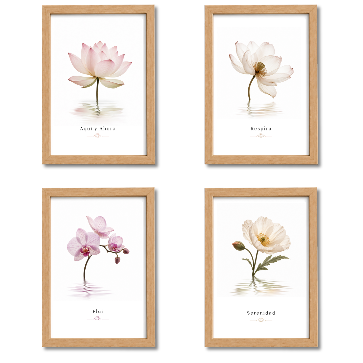 Pack Flores N°1