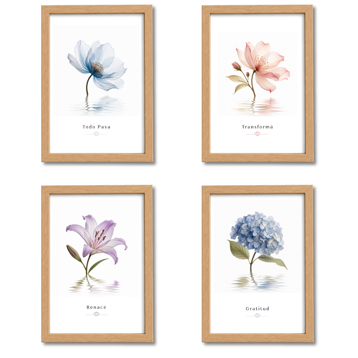 Pack Flores N°2
