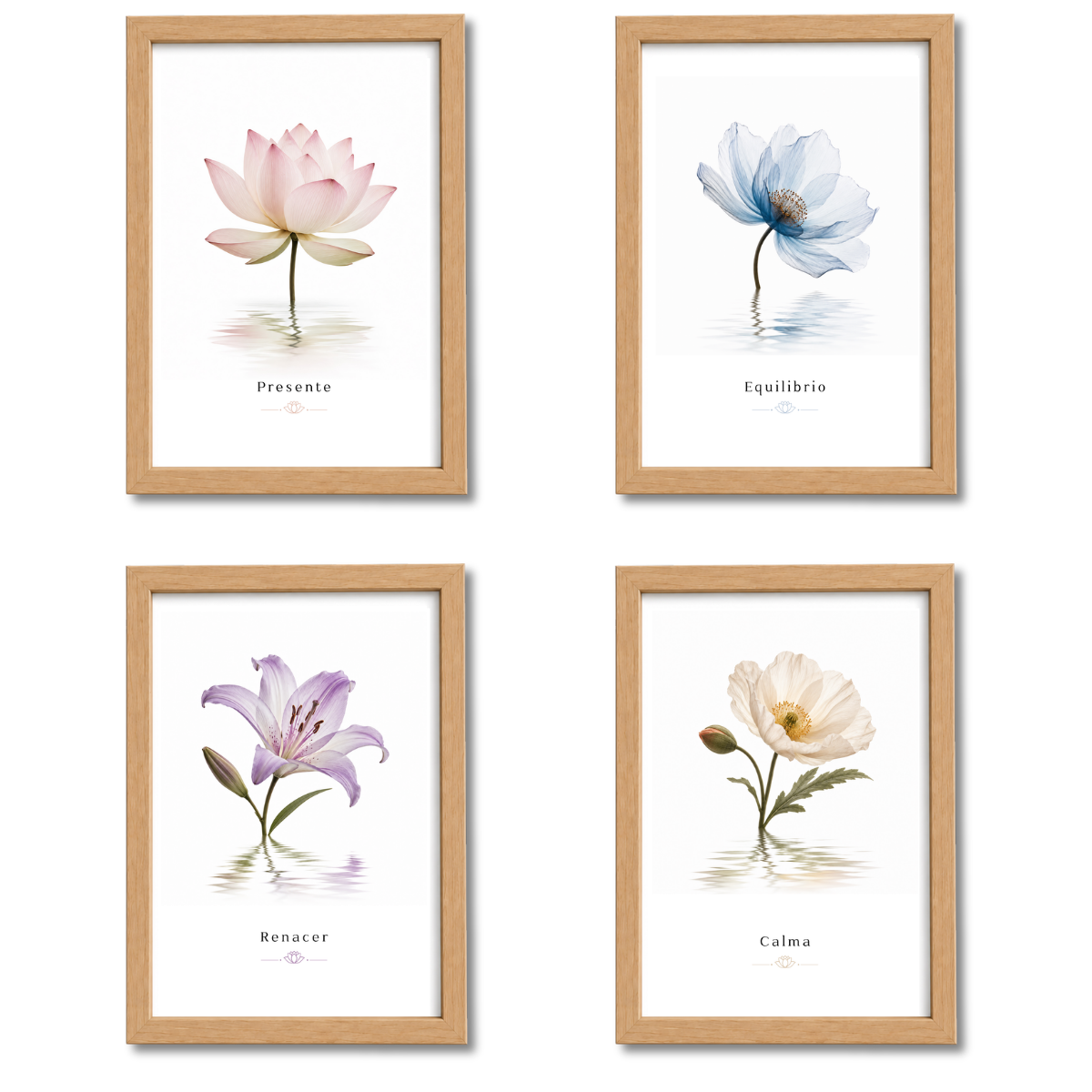 Pack Flores N°3