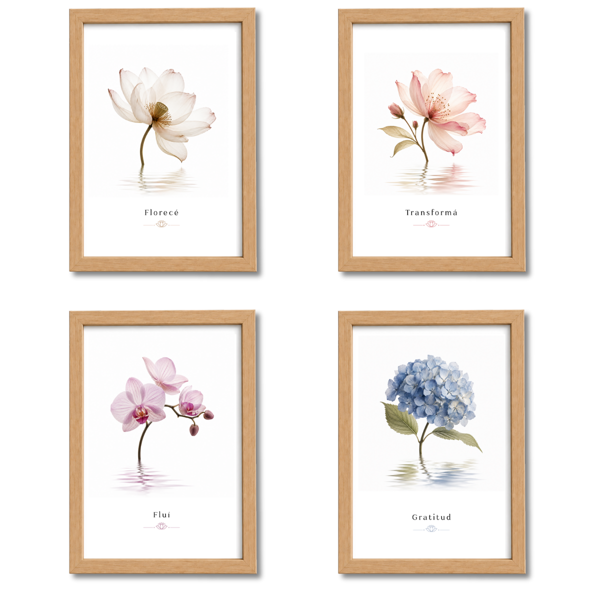 Pack Flores N°4