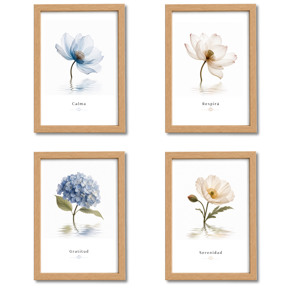 Pack Flores N°5