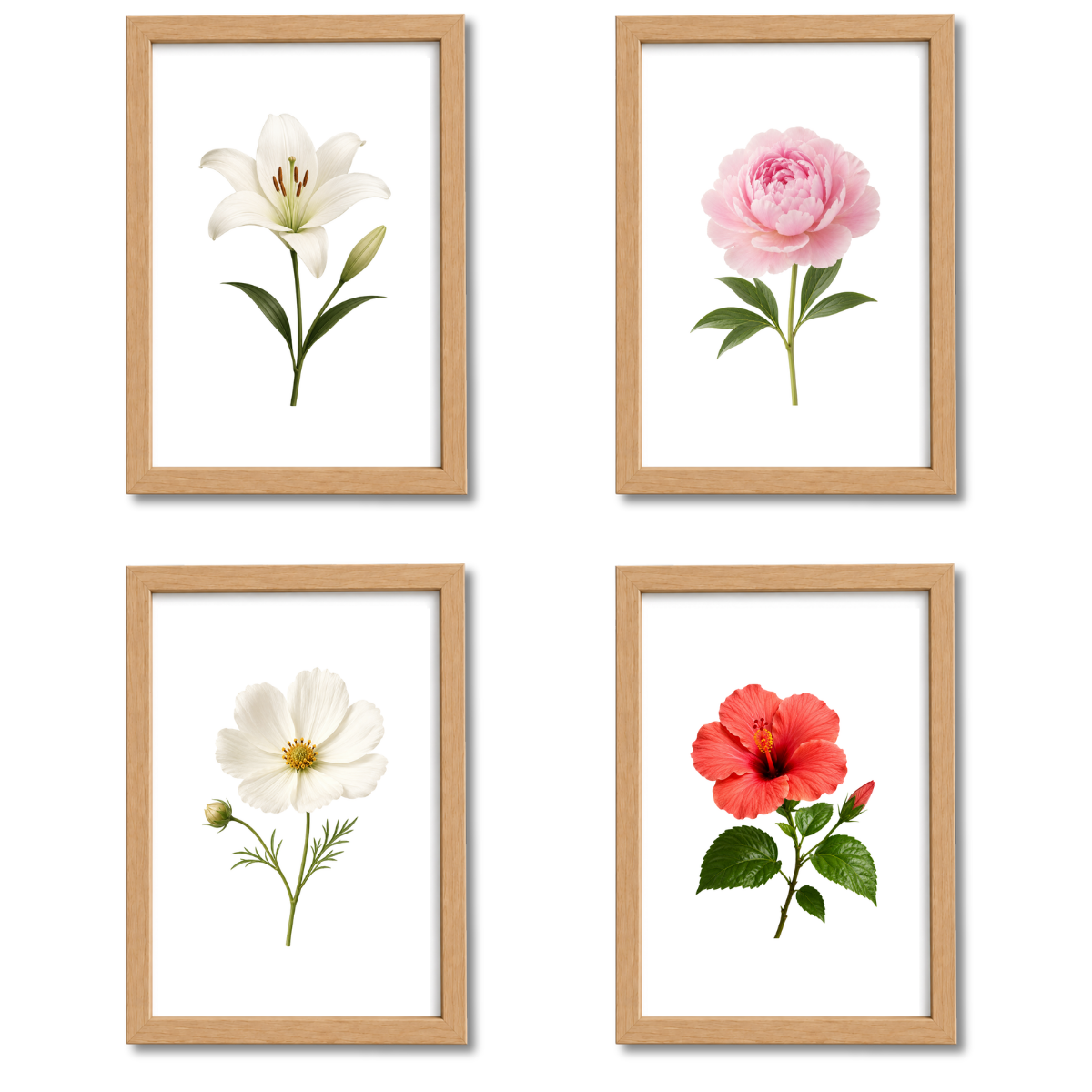 Pack Flores N°6