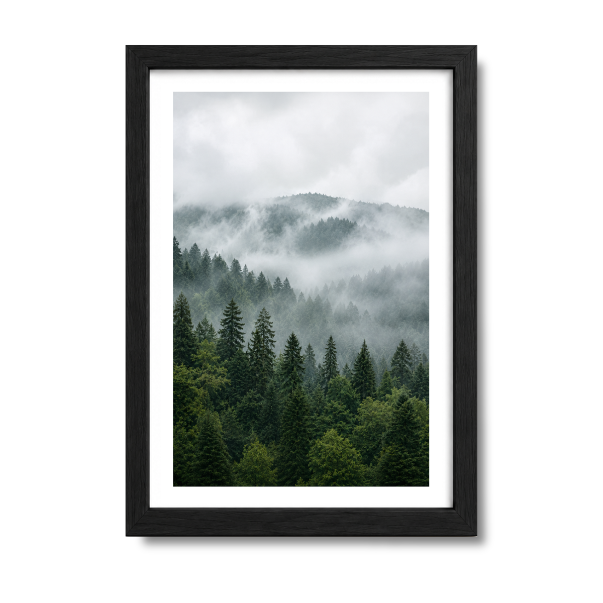 Paisaje N°19