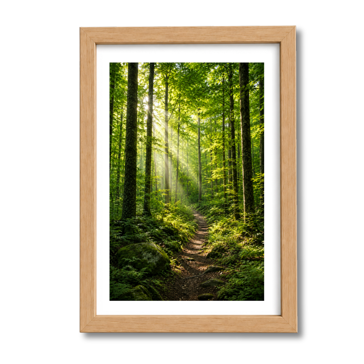 Paisaje N°8